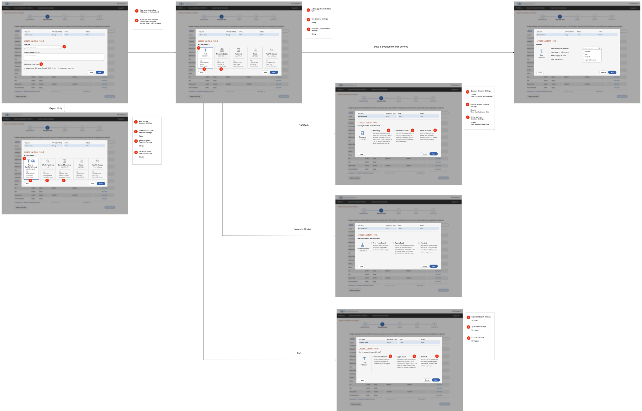 DataVision Custom Fields Flow