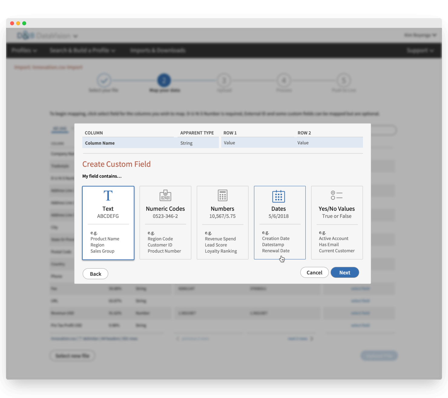 DataVision Custom Fields