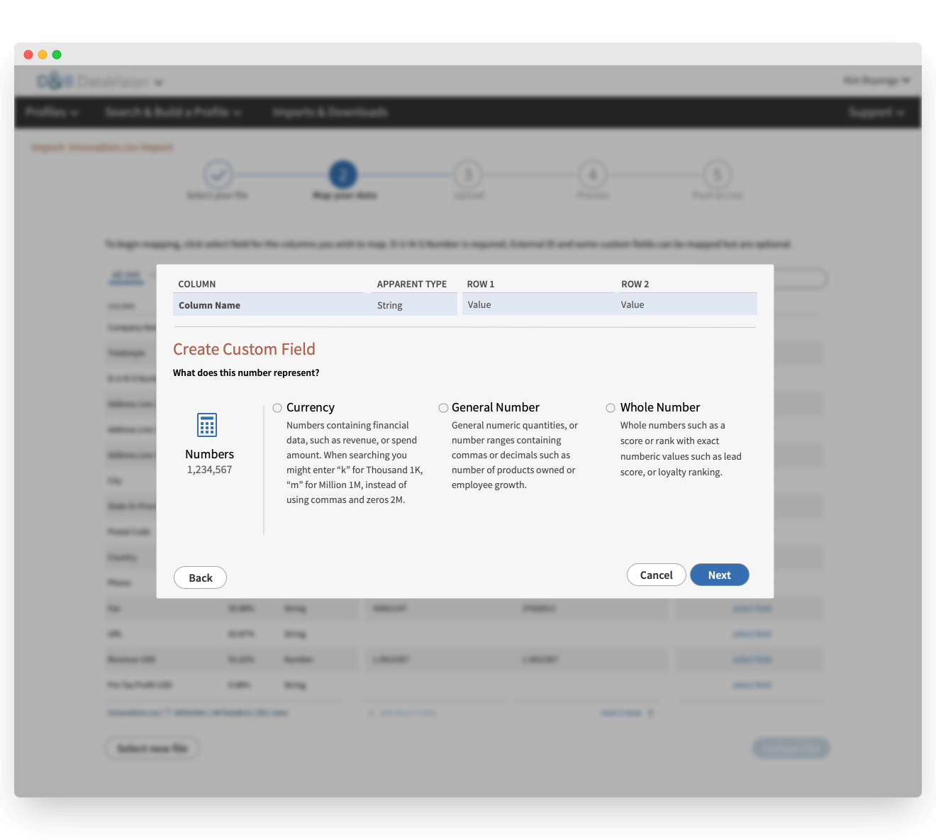DataVision Custom Fields